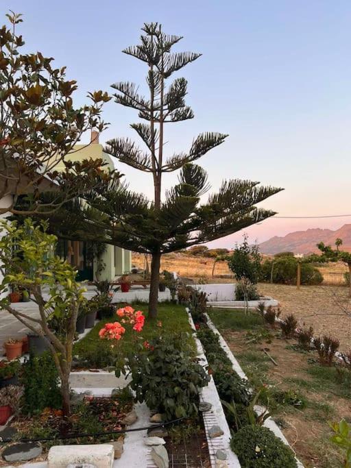 Borgo Majoca - Μονοκατοικία Σε Κυκλαδίτικο Νησί Mési Exteriör bild